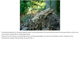 Ein klassisches Beispiel für ein Komplexes Adaptives System ist eine Ameisenkolonie. Die einzelne Ameise versteht nicht die ganze Kolonie, und kann auch 
nicht einordnen, welche Rolle sie im Gesamtsystem spielt. 
Faktisch hat so einen Ameise nur einige wenige Sensoren und einige wenige Regeln, nach denen sie ihr Verhalten ausrichtet. Trotzdem kommen 
Ameisenhaufen zustanden. Weil die Königin das steuert? Nein :-) 
 