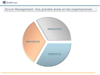 Scrum Management: tres grandes áreas en las organizaciones
 