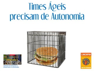 Times Ágeis
precisam de Autonomia
 