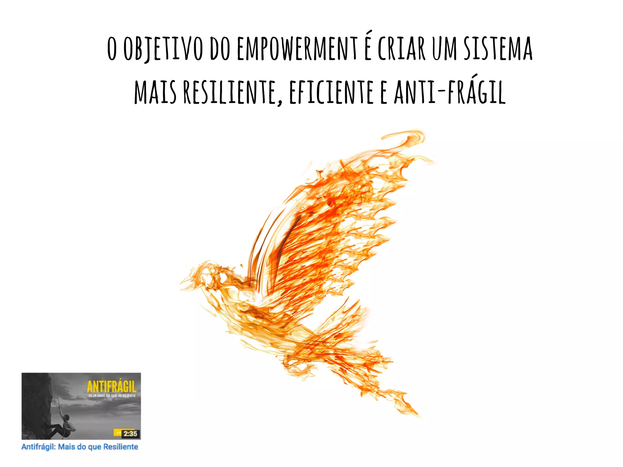 oobjetivodoempowermentécriarumsistema
maisresiliente,eficienteeanti-frágil
 