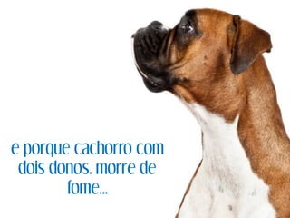 e porque cachorro com
dois donos, morre de
fome...
 