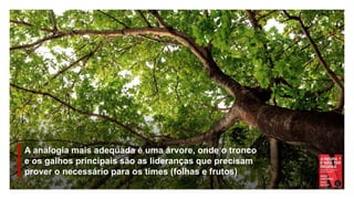 A analogia mais adequada é uma árvore, onde o tronco
e os galhos principais são as lideranças que precisam
prover o necessário para os times (folhas e frutos)
 