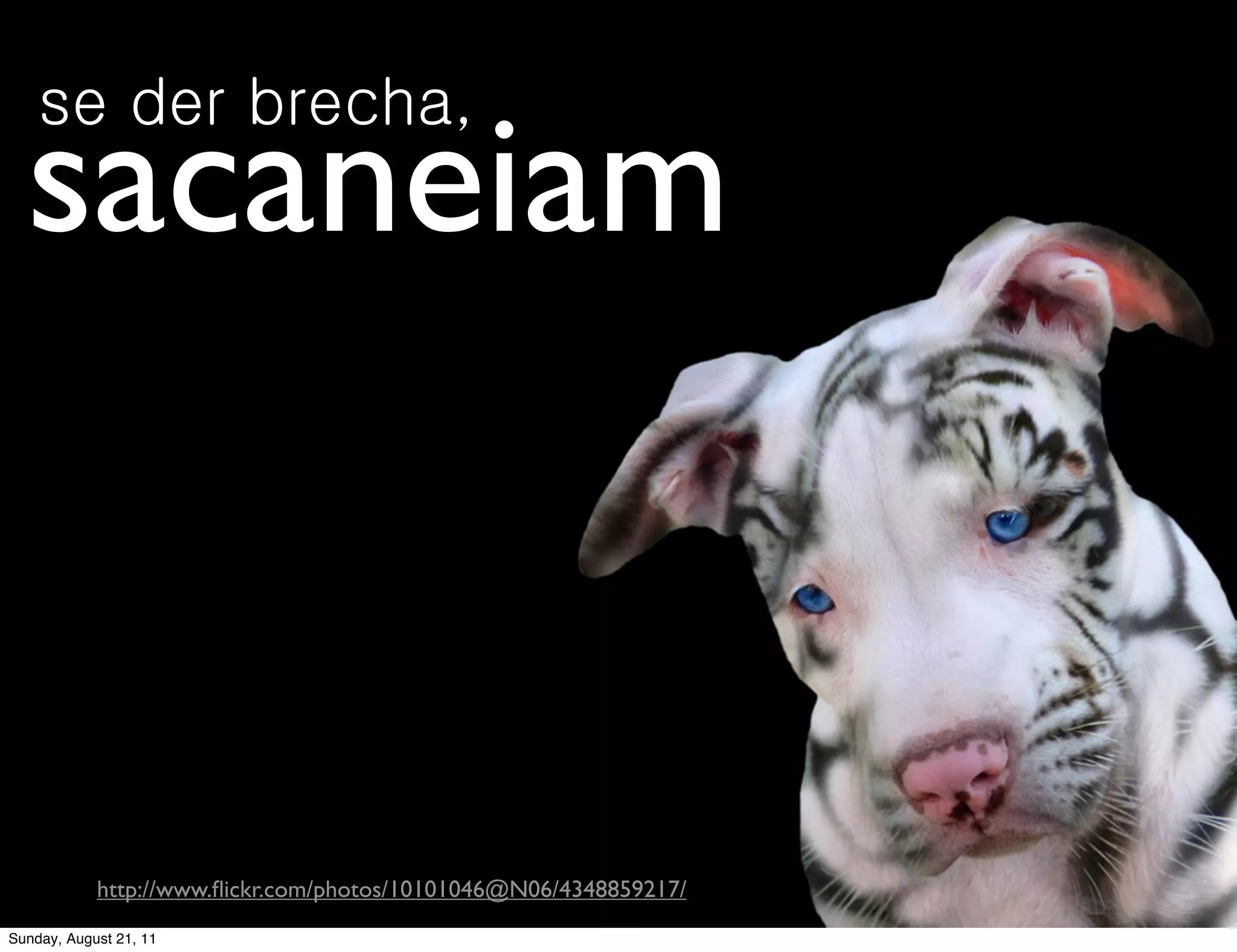 se der brecha,
  sacaneiam


            http://www.ﬂickr.com/photos/10101046@N06/4348859217/
Sunday, August 21, 11
 