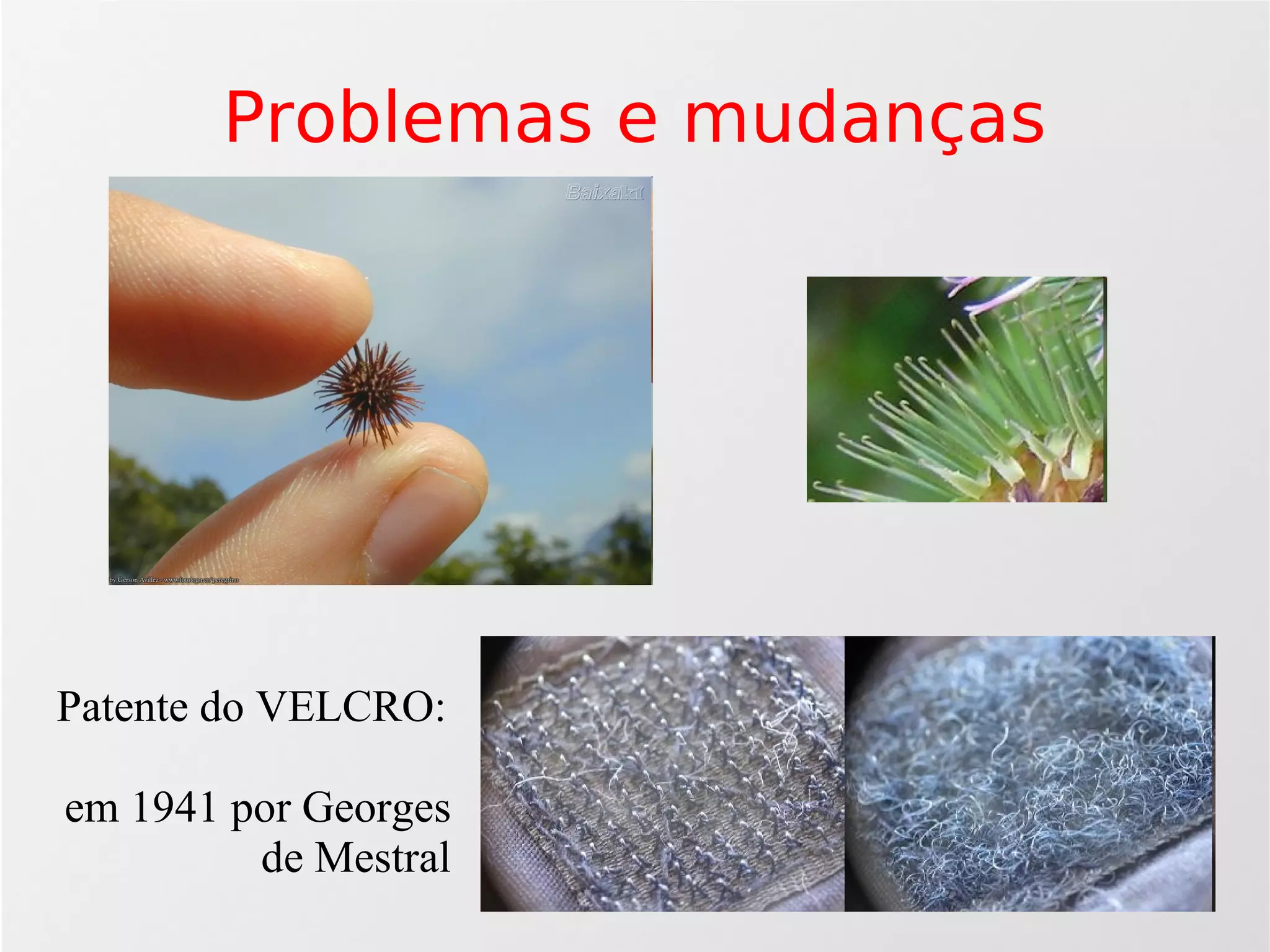 Agilidade: Scrum e Xp