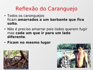 Agilidade: Scrum e Xp