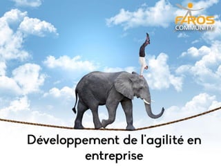 Agilité entreprise