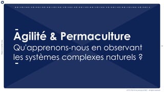 1
There
is
a
better
way
OCTO Part of Accenture © 2021 - All rights reserved
Agilité & Permaculture
Qu'apprenons-nous en observant
les systèmes complexes naturels ?
 