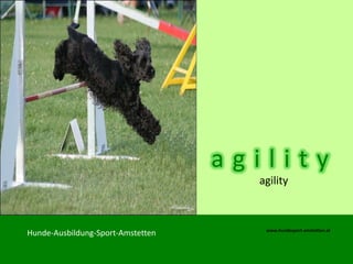 agility
                                     agility



                                      www.hundesport-amstetten.at
Hunde-Ausbildung-Sport-Amstetten
 