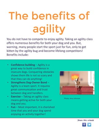 The benefits of 
agility 
You do not have to compete to enjoy agility. Taking an agility class 
offers numerous benefits for both your dog and you. But, 
warning, many people start the sport just for fun, only to get 
bitten by the agility bug and become lifelong competitors! 
Benefits include: 
• Confidence building – Agility is a 
great way to build confidence in 
insecure dogs. Conquering obstacles 
shows them life is not so scary and 
that they can do anything! 
• Strengthens Dog-Owner Bond – 
Agility is a team sport. It requires 
great communication and trust 
between dog and handlers. 
• Exercise – Taking an agility class 
means getting active for both your 
dog and you. 
• Fun – Most important, it is cherished 
time that you and your dog spend 
enjoying an activity together! 
Photo: Amy Johnson 
Share this e-book 
 