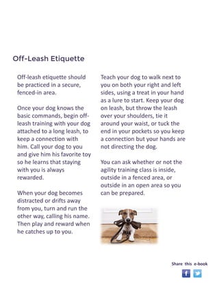 Off-Leash Etiquette 
Off-leash etiquette should 
be practiced in a secure, 
fenced-in area. 
Once your dog knows the 
basic commands, begin off-leash 
training with your dog 
attached to a long leash, to 
keep a connection with 
him. Call your dog to you 
and give him his favorite toy 
so he learns that staying 
with you is always 
rewarded. 
When your dog becomes 
distracted or drifts away 
from you, turn and run the 
other way, calling his name. 
Then play and reward when 
he catches up to you. 
Teach your dog to walk next to 
you on both your right and left 
sides, using a treat in your hand 
as a lure to start. Keep your dog 
on leash, but throw the leash 
over your shoulders, tie it 
around your waist, or tuck the 
end in your pockets so you keep 
a connection but your hands are 
not directing the dog. 
You can ask whether or not the 
agility training class is inside, 
outside in a fenced area, or 
outside in an open area so you 
can be prepared. 
Share this e-book 
 