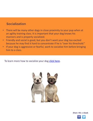 Socialization 
• There will be many other dogs in close proximity to your pup when at 
an agility training class. It is important that your dog knows his 
manners and is properly socialized. 
• Friendly and social is good, but you don’t want your dog too excited 
because he may find it hard to concentrate if he is “over his threshold.” 
• If your dog is aggressive or fearful, work to socialize him before bringing 
him to a class. 
To learn more how to socialize your dog click here. 
Share this e-book 
 
