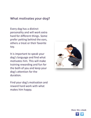 Every dog has a distinct 
personality and will work extra 
hard for different things. Some 
prefer petting behind the ears, 
others a treat or their favorite 
toy. 
It is important to speak your 
dog’s language and find what 
motivates him. This will make 
training rewarding and fun for 
the both of you and keep your 
dog’s attention for the 
duration. 
Find your dog’s motivation and 
reward hard work with what 
makes him happy. 
What motivates your dog? 
Share this e-book 
 