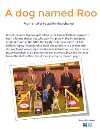 A dog named Roo 
One of the most famous agility dogs in the Canine Partners program is 
Roo!, a former shelter dog who won first place in the 24-inch jump 
height divisions at the 2012 AKC Agility Invitational and 2014 AKC 
National Agility Championship. Roo! was turned in to a shelter after 
she was found wandering around a park in San Francisco. Roo’s owner, 
Stacey Campbell, is a trainer for the San Francisco SPCA and first met 
Roo at the shelter. Read about their journey on the next page. 
Share this e-book 
From shelter to agility ring champ 
 