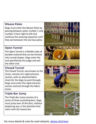 AKC’s most popular 
For more details & rules for each obstacle please click here 
Weave Poles 
Dogs must enter the Weave Poles by passing between poles number 1 and number 2 from right to left and continue this weaving sequence until they exit between the last two poles. 
Open Tunnel 
The Open Tunnel is a flexible tube of durable material that can be formed into curved shapes. Dogs enter the end specified by the judge and exit the other end. 
Closed Tunnel 
The Closed Tunnel, also known as the chute, consists of a rigid entrance section, with an attached fabric chute for the dogs to push through. Dogs must enter the rigid entrance section and exit through the fabric chute. 
Triple Bar Jump 
The Triple Bar Jump consists of a series of three ascending bars. Dogs must jump over all the bars, without displacing any, in the direction that starts with the lowest bar. 
Lisa Croft-Elliott ©AKC 
Lisa Croft-Elliott ©AKC 
Lisa Croft-Elliott ©AKC 
Photo Amy Johnson 
Photo Amy Johnson  