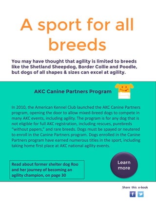 akc canine partners