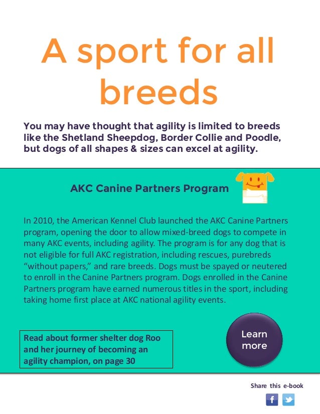 Can A Dog Trial Be Held Without The Kennel Club Can A Dog Trial Be Held Without The Kennel Club