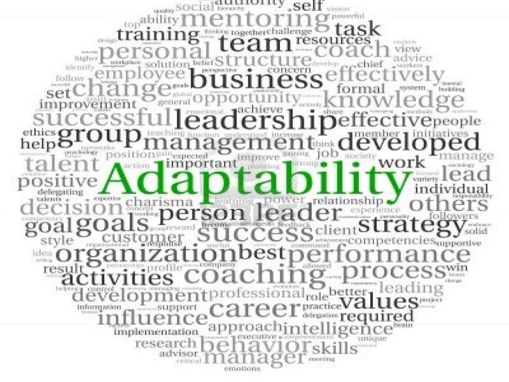 Agility and adaptability