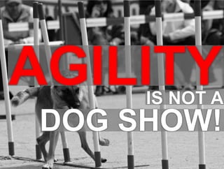 1 DOG SHOW! AGILITY IS NOT A 