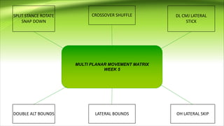 MULTI PLANAR MOVEMENT MATRIX
WEEK 5
SPLIT STANCE ROTATE
SNAP DOWN
CROSSOVER SHUFFLE DL CMJ LATERAL
STICK
LATERAL BOUNDS OH LATERAL SKIPDOUBLE ALT BOUNDS
 