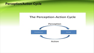 Perception/Action Cycle
 