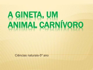 A GINETA, UM 
ANIMAL CARNÍVORO 
Ciências naturais-5º ano 
 