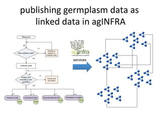 publishing
germplasm
data
as
linked
data
in
agINFRA
services