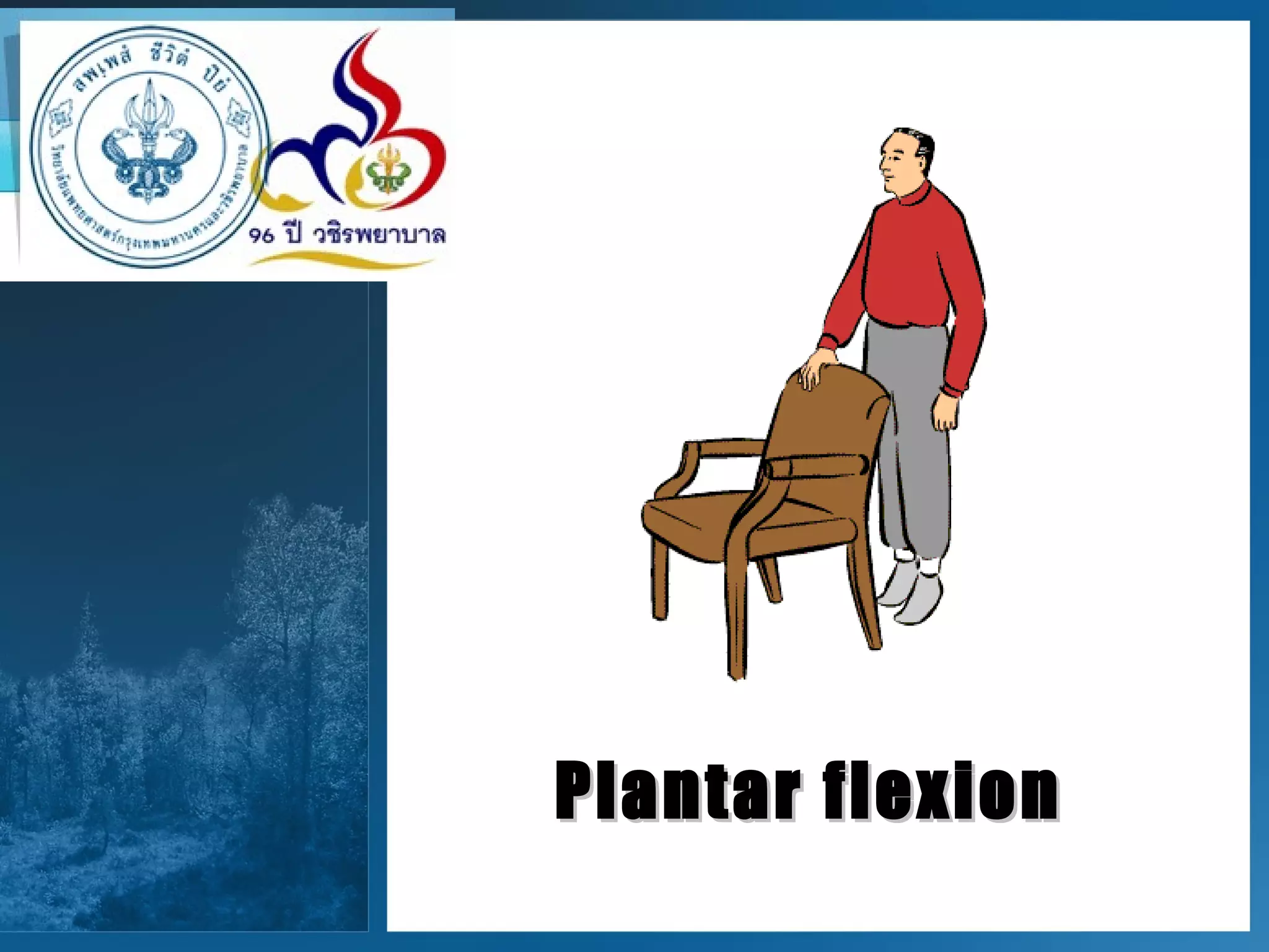 Plantar flexion 