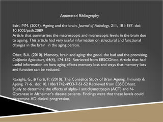 Annotated Bibliography  Esiri, MM. (2007). Ageing and the brain.  Journal of Pathology,  211, 181-187. doi: 10.1002/path.2089 Article that summarizes the macroscopic and microscopic levels in the brain due to ageing. This article had very useful information on structural and functional changes in the brain  in the aging person. Ober, B.A. (2010). Memory, brain and aging: the good, the bad and the promising.  California Agriculture,  64(4), 174-182. Retrieved from EBSCO host . Article that had useful information on how aging affects memory loss and ways that memory loss and function can be reduced.  Ravaglia, G., & Forti, P. (2010). The Conselice Study of Brain Ageing.  Immunity & Ageing, 71-6.  doi: 10.1186/1742-4933-7-S1-S2 Retrieved from EBSCOhost.  Study to determine the effects of alpha-1 antichymotryspin (ACT) and N-Glycanase in Alzheimer’s disease patients. Findings were that these levels could determine AD clinical progression.  
