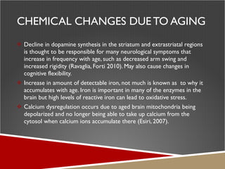 CHEMICAL CHANGES DUE TO AGING Decline in dopamine synthesis in the striatum and extrastriatal regions is thought to be responsible for many neurological symptoms that increase in frequency with age, such as decreased arm swing and increased rigidity (Ravaglia, Forti 2010). May also cause changes in cognitive flexibility. Increase in amount of detectable iron, not much is known as  to why it accumulates with age. Iron is important in many of the enzymes in the brain but high levels of reactive iron can lead to oxidative stress. Calcium dysregulation occurs due to aged brain mitochondria being depolarized and no longer being able to take up calcium from the cytosol when calcium ions accumulate there (Esiri, 2007). 