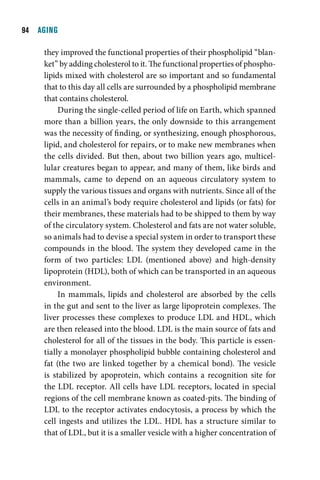   AGING

     they improved the functional properties of their phospholipid “blan-
     ket” by adding cholesterol to it. The functional properties of phospho-
     lipids mixed with cholesterol are so important and so fundamental
     that to this day all cells are surrounded by a phospholipid membrane
     that contains cholesterol.
          During the single-celled period of life on Earth, which spanned
     more than a billion years, the only downside to this arrangement
     was the necessity of finding, or synthesizing, enough phosphorous,
     lipid, and cholesterol for repairs, or to make new membranes when
     the cells divided. But then, about two billion years ago, multicel-
     lular creatures began to appear, and many of them, like birds and
     mammals, came to depend on an aqueous circulatory system to
     supply the various tissues and organs with nutrients. Since all of the
     cells in an animal’s body require cholesterol and lipids (or fats) for
     their membranes, these materials had to be shipped to them by way
     of the circulatory system. Cholesterol and fats are not water soluble,
     so animals had to devise a special system in order to transport these
     compounds in the blood. The system they developed came in the
     form of two particles: LDL (mentioned above) and high-density
     lipoprotein (HDL), both of which can be transported in an aqueous
     environment.
          In mammals, lipids and cholesterol are absorbed by the cells
     in the gut and sent to the liver as large lipoprotein complexes. The
     liver processes these complexes to produce LDL and HDL, which
     are then released into the blood. LDL is the main source of fats and
     cholesterol for all of the tissues in the body. This particle is essen-
     tially a monolayer phospholipid bubble containing cholesterol and
     fat (the two are linked together by a chemical bond). The vesicle
     is stabilized by apoprotein, which contains a recognition site for
     the LDL receptor. All cells have LDL receptors, located in special
     regions of the cell membrane known as coated-pits. The binding of
     LDL to the receptor activates endocytosis, a process by which the
     cell ingests and utilizes the LDL. HDL has a structure similar to
     that of LDL, but it is a smaller vesicle with a higher concentration of
 
