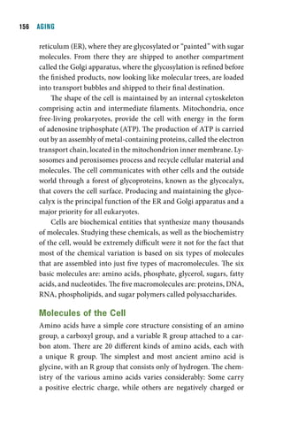 1  AGING

     reticulum (ER), where they are glycosylated or “painted” with sugar
     molecules. From there they are shipped to another compartment
     called the Golgi apparatus, where the glycosylation is refined before
     the finished products, now looking like molecular trees, are loaded
     into transport bubbles and shipped to their final destination.
         The shape of the cell is maintained by an internal cytoskeleton
     comprising actin and intermediate filaments. Mitochondria, once
     free-living prokaryotes, provide the cell with energy in the form
     of adenosine triphosphate (ATP). The production of ATP is carried
     out by an assembly of metal-containing proteins, called the electron
     transport chain, located in the mitochondrion inner membrane. Ly-
     sosomes and peroxisomes process and recycle cellular material and
     molecules. The cell communicates with other cells and the outside
     world through a forest of glycoproteins, known as the glycocalyx,
     that covers the cell surface. Producing and maintaining the glyco-
     calyx is the principal function of the ER and Golgi apparatus and a
     major priority for all eukaryotes.
         Cells are biochemical entities that synthesize many thousands
     of molecules. Studying these chemicals, as well as the biochemistry
     of the cell, would be extremely difficult were it not for the fact that
     most of the chemical variation is based on six types of molecules
     that are assembled into just five types of macromolecules. The six
     basic molecules are: amino acids, phosphate, glycerol, sugars, fatty
     acids, and nucleotides. The five macromolecules are: proteins, DNA,
     RNA, phospholipids, and sugar polymers called polysaccharides.

     molecules of the cell
     Amino acids have a simple core structure consisting of an amino
     group, a carboxyl group, and a variable R group attached to a car-
     bon atom. There are 20 different kinds of amino acids, each with
     a unique R group. The simplest and most ancient amino acid is
     glycine, with an R group that consists only of hydrogen. The chem-
     istry of the various amino acids varies considerably: Some carry
     a positive electric charge, while others are negatively charged or
 