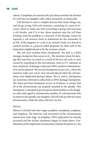 10  AGING

     reform. Completion of a normal cell cycle always involves the division
     of a cell into two daughter cells, either meiotically or mitotically.
           Cell division is such a complex process that many things can,
     and do, go wrong. Cell cycle monitors, consisting of a team of en-
     zymes, check to make sure that everything is going well each time
     a cell divides, and if it is not, those monitors stop the cell from
     dividing until the problem is corrected. If the damage cannot be
     repaired, a cell remains stuck in midstream for the remainder of
     its life. If this happens to a cell in an animal’s body, it is forced to
     commit suicide, in a process called apoptosis, by other cells in the
     immediate neighborhood or by the immune system.
           The cell cycle includes three checkpoints: The first is a DNA
     damage checkpoint that occurs in G1. The monitors check for dam-
     age that may have occurred as a result of the last cell cycle or were
     caused by something in the environment, such as UV radiation or
     toxic chemicals. If damage is detected, DNA synthesis is blocked un-
     til it can be repaired. The second checkpoint occurs in G2, where the
     monitors make sure errors were not introduced when the chromo-
     somes were duplicated during S-phase. The G1 and G2 checkpoints
     are sometimes referred to collectively as DNA damage checkpoints.
     The third and final checkpoint occurs in M-phase, to ensure that
     all of the chromosomes are properly attached to the spindle. This
     checkpoint is intended to prevent gross abnormalities in the daugh-
     ter cells with regard to chromosome number. If a chromosome fails
     to attach to the spindle, one daughter cell will end up with too many
     chromosomes, while the other will have too few.

     Mitosis
     Mitosis is divided into four stages: prophase, metaphase, anaphase,
     and telophase. The behavior and movement of the chromosomes
     characterize each stage. At prophase, DNA replication has already
     occurred and the nuclear membrane begins to break down. Con-
     densation of the duplicated chromosomes initiates the phase (i.e. the
 