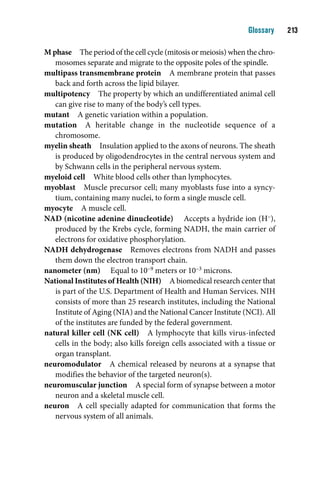 Glossary    1

M phase The period of the cell cycle (mitosis or meiosis) when the chro-
   mosomes separate and migrate to the opposite poles of the spindle.
multipass transmembrane protein A membrane protein that passes
   back and forth across the lipid bilayer.
multipotency The property by which an undifferentiated animal cell
   can give rise to many of the body’s cell types.
mutant A genetic variation within a population.
mutation A heritable change in the nucleotide sequence of a
   chromosome.
myelin sheath Insulation applied to the axons of neurons. The sheath
   is produced by oligodendrocytes in the central nervous system and
   by Schwann cells in the peripheral nervous system.
myeloid cell White blood cells other than lymphocytes.
myoblast Muscle precursor cell; many myoblasts fuse into a syncy-
   tium, containing many nuclei, to form a single muscle cell.
myocyte A muscle cell.
NAD (nicotine adenine dinucleotide) Accepts a hydride ion (H–),
   produced by the Krebs cycle, forming NADH, the main carrier of
   electrons for oxidative phosphorylation.
NADH dehydrogenase Removes electrons from NADH and passes
   them down the electron transport chain.
nanometer (nm) Equal to 10–9 meters or 10–3 microns.
National Institutes of Health (NIH) A biomedical research center that
   is part of the U.S. Department of Health and Human Services. NIH
   consists of more than 25 research institutes, including the National
   Institute of Aging (NIA) and the National Cancer Institute (NCI). All
   of the institutes are funded by the federal government.
natural killer cell (NK cell) A lymphocyte that kills virus-infected
   cells in the body; also kills foreign cells associated with a tissue or
   organ transplant.
neuromodulator A chemical released by neurons at a synapse that
   modifies the behavior of the targeted neuron(s).
neuromuscular junction A special form of synapse between a motor
   neuron and a skeletal muscle cell.
neuron A cell specially adapted for communication that forms the
   nervous system of all animals.
 