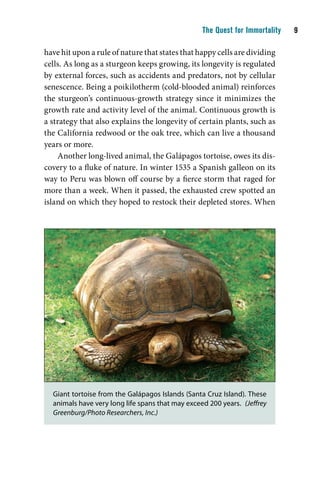 The Quest for Immortality    

have hit upon a rule of nature that states that happy cells are dividing
cells. As long as a sturgeon keeps growing, its longevity is regulated
by external forces, such as accidents and predators, not by cellular
senescence. Being a poikilotherm (cold-blooded animal) reinforces
the sturgeon’s continuous-growth strategy since it minimizes the
growth rate and activity level of the animal. Continuous growth is
a strategy that also explains the longevity of certain plants, such as
the California redwood or the oak tree, which can live a thousand
years or more.
    Another long-lived animal, the Galápagos tortoise, owes its dis-
covery to a fluke of nature. In winter 1535 a Spanish galleon on its
way to Peru was blown off course by a fierce storm that raged for
more than a week. When it passed, the exhausted crew spotted an
island on which they hoped to restock their depleted stores. When




  Giant tortoise from the Galápagos Islands (Santa Cruz Island). These
  animals have very long life spans that may exceed 200 years. (Jeffrey
  Greenburg/Photo Researchers, Inc.)
 