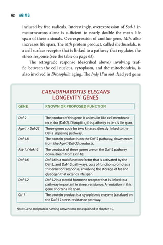   AGING

      induced by free radicals. Interestingly, overexpression of Sod-1 in
      motorneurons alone is sufficient to nearly double the mean life
      span of these animals. Overexpression of another gene, Mth, also
      increases life span. The Mth protein product, called methuselah, is
      a cell surface receptor that is linked to a pathway that regulates the
      stress response (see the table on page 63).
           The retrograde response (described above) involving traf-
      fic between the cell nucleus, cytoplasm, and the mitochondria, is
      also involved in Drosophila aging. The Indy (I’m not dead yet) gene



                    Caenorhabditis elegans
                       longevity genes
   Gene               knoWn or proposeD FunCtIon


   Daf-2              The product of this gene is an insulin-like cell membrane
                      receptor (Daf-2). Disrupting this pathway extends life span.
   Age-1 / Daf-23     These genes code for two kinases, directly linked to the
                      Daf-2 signaling pathway.
   Daf-18             The protein product is on the Daf-2 pathway, downstream
                      from the Age-1/Daf-23 products.
   Akt-1 / Aakt-2     The products of these genes are on the Daf-2 pathway
                      downstream from Daf-18.
   Daf-16             Daf-16 is a multifunction factor that is activated by the
                      Daf-2, and Daf-12 pathways. Loss of function promotes a
                      “hibernation” response, involving the storage of fat and
                      glycogen that extends life span.
   Daf-12             Daf-12 is a steroid hormone receptor that is linked to a
                      pathway important in stress resistance. A mutation in this
                      gene shortens life span.
   Ctl-1              The protein product is a cytoplasmic enzyme (catalase) on
                      the Daf-12 stress-resistance pathway.

  Note: Gene and protein naming conventions are explained in chapter 10.
 
