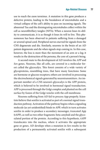 Age-Related Diseases    

use to reach the axon terminus. A mutation in this gene produces a
defective protein, leading to the breakdown of microtubules and a
virtual collapse of the cell’s ability to pass on incoming signals. The
abnormal Tau and the disintegrating microtubules collect within the
cell as neurofibrillary tangles (NFTs). When a neuron loses its abil-
ity to communicate, it is as though it loses its will to live. This phe-
nomenon has been observed in patients suffering from a damaged
or severed spinal cord. Peripheral nerves starved for signals from the
CNS degenerate and die. Similarly, neurons in the brain of an AD
patient degenerate and die when signals stop coming in. In this case,
however, the loss is more than the movement of an arm or a leg; it
results in the destruction of the persona, the core of a person’s being.
     A second route to the development of AD involves the APP and
Sen genes. Neurons, like all cells, are covered in a molecular for-
est called the glycocalyx. This forest consists of a wide variety of
glycoproteins, resembling trees, that have many functions: Some
are hormone or glucose receptors; others are involved in processing
the electrochemical signals generated by neurotransmitters. An im-
portant member of a CNS neuron’s glycocalyx is the APP protein,
which is believed to be involved in hormonal signal transduction.
APP is processed through the Golgi complex and planted on the cell
surface by fusion of the Golgi vesicles with the cell membrane.
     Neurons suffering from AD fail to process App properly. Scien-
tists believe that senilin is activated as part of a normal signal trans-
duction pathway. Activation of the pathway begins when a signaling
molecule (as yet unidentified) binds to APP, which in turn activates
senilin in order to produce a secondary messenger, truncated App
(tAPP), as well as two other fragments: beta-amyloid and the glyco-
sylated portion of the protein. According to this hypothesis, tAPP
translocates into the nucleus, where it activates the appropriate
gene or genes. AD develops when a mutation in Sen results in the
production of a permanently activated senilin with a subsequent
 