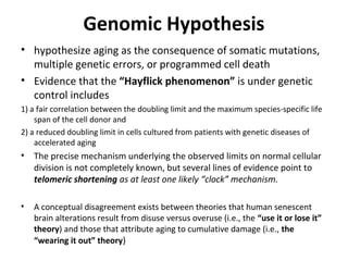 Genomic Hypothesis
• hypothesize aging as the consequence of somatic mutations,
multiple genetic errors, or programmed cell death
• Evidence that the “Hayflick phenomenon” is under genetic
control includes
1) a fair correlation between the doubling limit and the maximum species-specific life
span of the cell donor and
2) a reduced doubling limit in cells cultured from patients with genetic diseases of
accelerated aging
• The precise mechanism underlying the observed limits on normal cellular
division is not completely known, but several lines of evidence point to
telomeric shortening as at least one likely “clock” mechanism.
• A conceptual disagreement exists between theories that human senescent
brain alterations result from disuse versus overuse (i.e., the “use it or lose it”
theory) and those that attribute aging to cumulative damage (i.e., the
“wearing it out” theory)
 
