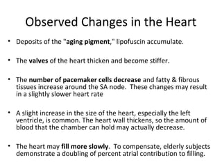 Observed Changes in the Heart
• Deposits of the "aging pigment," lipofuscin accumulate.
• The valves of the heart thicken and become stiffer.
• The number of pacemaker cells decrease and fatty & fibrous
tissues increase around the SA node. These changes may result
in a slightly slower heart rate
• A slight increase in the size of the heart, especially the left
ventricle, is common. The heart wall thickens, so the amount of
blood that the chamber can hold may actually decrease.
• The heart may fill more slowly. To compensate, elderly subjects
demonstrate a doubling of percent atrial contribution to filling.
 