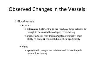 Observed Changes in the Vessels
• Blood vessels
– Arteries
» thickening & stiffening in the media of large arteries is
though to be caused by collagen cross-linking
» smaller arteries may thicken/stiffen minimally; their
ability to dilate & constrict diminishes significantly
– Veins
» age-related changes are minimal and do not impede
normal functioning
 