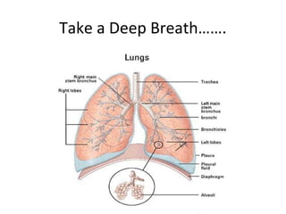 Take a Deep Breath…….
 