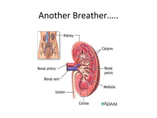 Another Breather…..
 