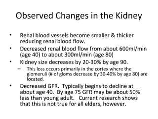 Observed Changes in the Kidney
• Renal blood vessels become smaller & thicker
reducing renal blood flow.
• Decreased renal blood flow from about 600ml/min
(age 40) to about 300ml/min (age 80)
• Kidney size decreases by 20-30% by age 90.
– This loss occurs primarily in the cortex where the
glomeruli (# of gloms decrease by 30-40% by age 80) are
located.
• Decreased GFR. Typically begins to decline at
about age 40. By age 75 GFR may be about 50%
less than young adult. Current research shows
that this is not true for all elders, however.
 
