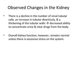 Observed Changes in the Kidney
• There is a decline in the number of renal tubular
cells, an increase in tubular diverticula, & a
thickening of the tubular walls  decreased ability
to concentrate urine & clear drugs from the body.
• Overall kidney function, however, remains normal
unless there is excessive stress on the system.
 