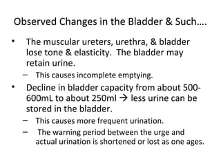 Observed Changes in the Bladder & Such….
• The muscular ureters, urethra, & bladder
lose tone & elasticity. The bladder may
retain urine.
– This causes incomplete emptying.
• Decline in bladder capacity from about 500-
600mL to about 250ml  less urine can be
stored in the bladder.
– This causes more frequent urination.
– The warning period between the urge and
actual urination is shortened or lost as one ages.
 