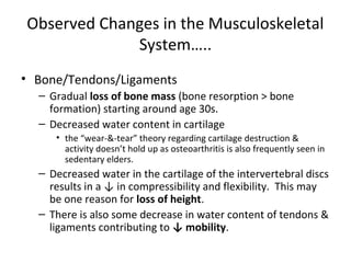 Observed Changes in the Musculoskeletal
System…..
• Bone/Tendons/Ligaments
– Gradual loss of bone mass (bone resorption > bone
formation) starting around age 30s.
– Decreased water content in cartilage
• the “wear-&-tear” theory regarding cartilage destruction &
activity doesn’t hold up as osteoarthritis is also frequently seen in
sedentary elders.
– Decreased water in the cartilage of the intervertebral discs
results in a ↓ in compressibility and flexibility. This may
be one reason for loss of height.
– There is also some decrease in water content of tendons &
ligaments contributing to ↓ mobility.
 