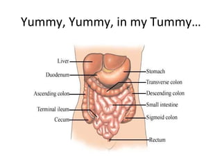 Yummy, Yummy, in my Tummy…
 