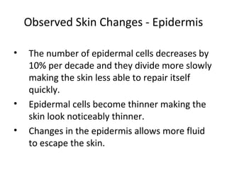 Observed Skin Changes - Epidermis
• The number of epidermal cells decreases by
10% per decade and they divide more slowly
making the skin less able to repair itself
quickly.
• Epidermal cells become thinner making the
skin look noticeably thinner.
• Changes in the epidermis allows more fluid
to escape the skin.
 