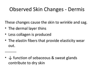 Observed Skin Changes - Dermis
These changes cause the skin to wrinkle and sag.
• The dermal layer thins
• Less collagen is produced
• The elastin fibers that provide elasticity wear
out.
---------
• ↓ function of sebaceous & sweat glands
contribute to dry skin
 