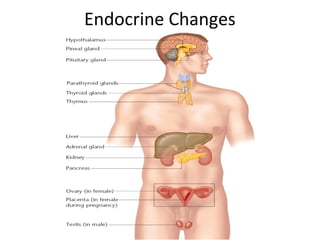 Endocrine Changes
 