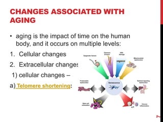 CHANGES ASSOCIATED WITH
AGING
• aging is the impact of time on the human
body, and it occurs on multiple levels:
1. Cellular changes
2. Extracellular changes
1) cellular changes –
a) Telomere shortening:
7
 